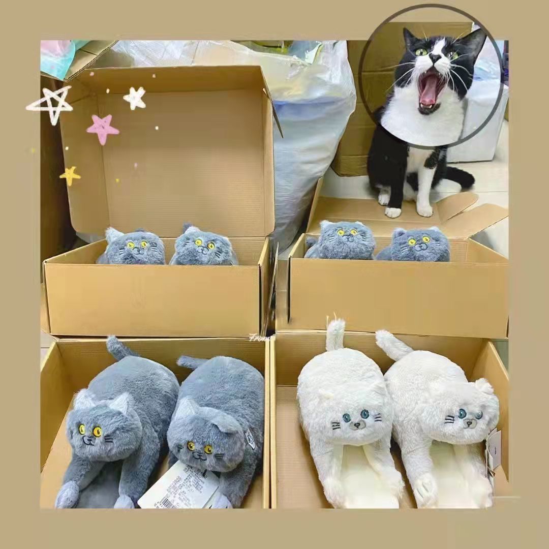 Clingy Kitty Slippers